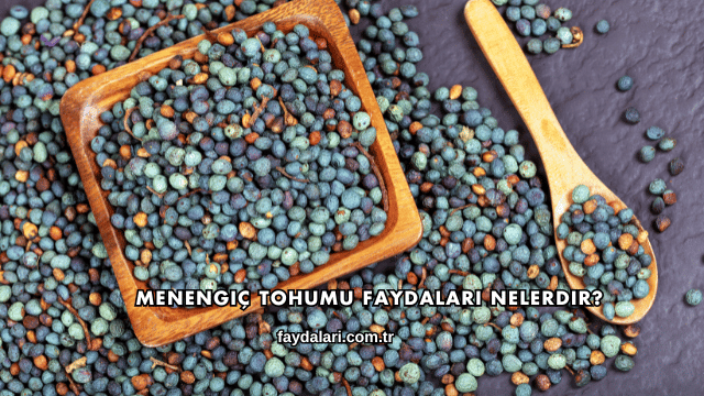 Menengiç Tohumu Faydaları Nelerdir?