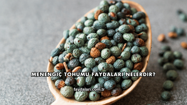 Menengiç Tohumu Faydaları Nelerdir?