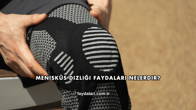 Menisküs Dizliği Faydaları Nelerdir?