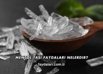 Mentol Taşı Faydaları Nelerdir?