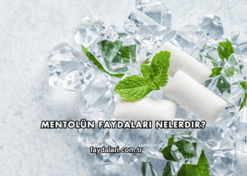 Mentolün Faydaları Nelerdir?