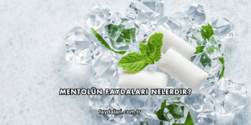 Mentolün Faydaları Nelerdir?