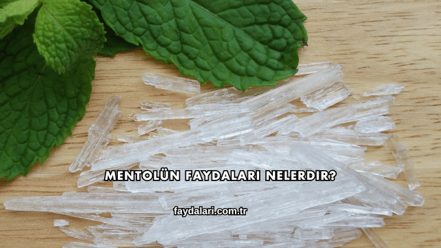 Mentolün Faydaları Nelerdir?