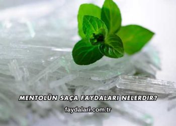 Mentolün Saça Faydaları Nelerdir?