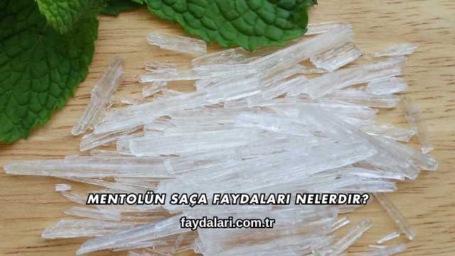 Mentolün Saça Faydaları Nelerdir?