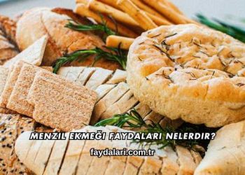 Menzil Ekmeği Faydaları Nelerdir?