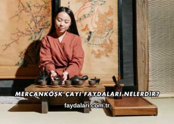 Mercanköşk Çayı Faydaları Nelerdir?