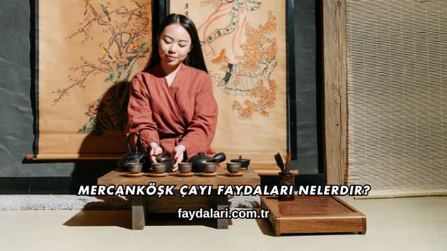 Mercanköşk Çayı Faydaları Nelerdir?