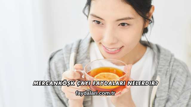 Mercanköşk Çayı Faydaları Nelerdir?
