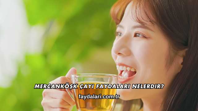Mercanköşk Çayı Faydaları Nelerdir?