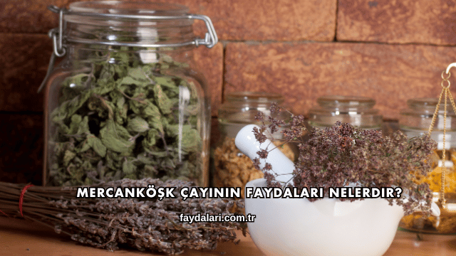 Mercanköşk Çayının Faydaları Nelerdir?