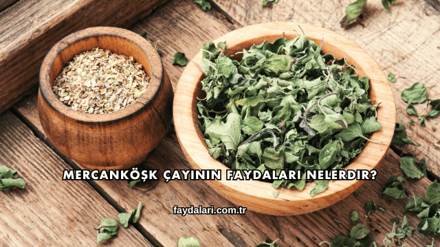 Mercanköşk Çayının Faydaları Nelerdir?