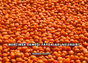 Mercimek Ekmeği Faydaları Nelerdir?
