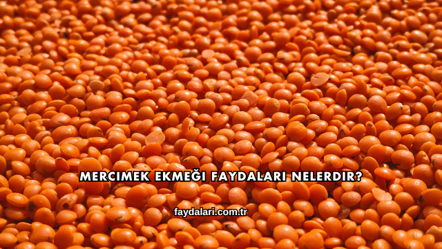 Mercimek Ekmeği Faydaları Nelerdir?