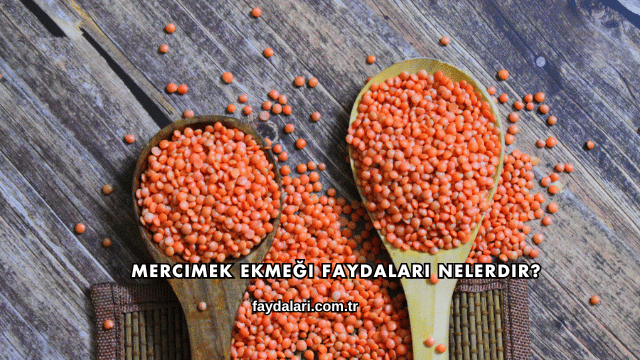 Mercimek Ekmeği Faydaları Nelerdir?