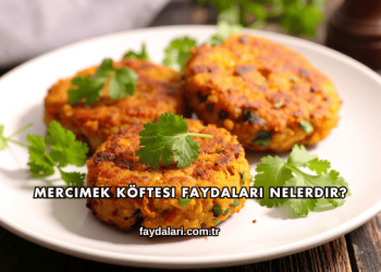 Mercimek Köftesi Faydaları Nelerdir?