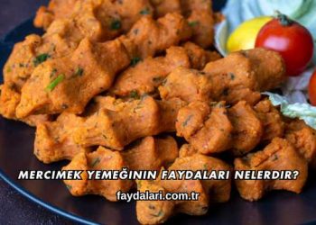 Mercimek Yemeğinin Faydaları Nelerdir?