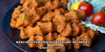 Mercimek Yemeğinin Faydaları Nelerdir?