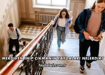 Merdiven İnip Çıkmanın Faydaları Nelerdir?