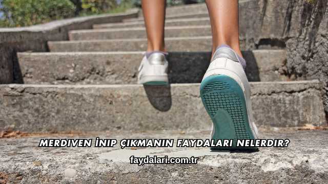 Merdiven İnip Çıkmanın Faydaları Nelerdir?