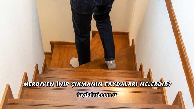 Merdiven İnip Çıkmanın Faydaları Nelerdir?