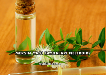 Mersin Yağı Faydaları Nelerdir?