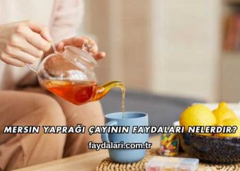 Mersin Yaprağı Çayının Faydaları Nelerdir?