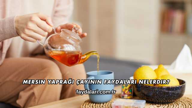 Mersin Yaprağı Çayının Faydaları Nelerdir?