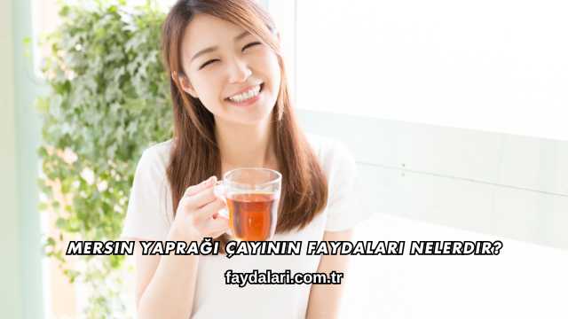 Mersin Yaprağı Çayının Faydaları Nelerdir?