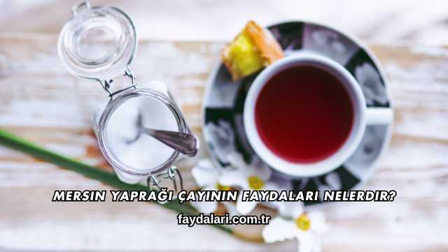 Mersin Yaprağı Çayının Faydaları Nelerdir?