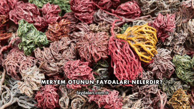 Meryem Otunun Faydaları Nelerdir?