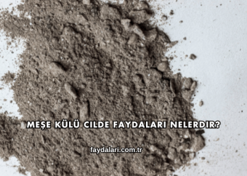 Meşe Külü Cilde Faydaları Nelerdir?