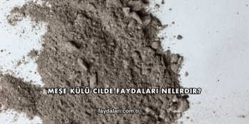 Meşe Külü Cilde Faydaları Nelerdir?