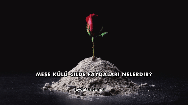 Meşe Külü Cilde Faydaları Nelerdir?