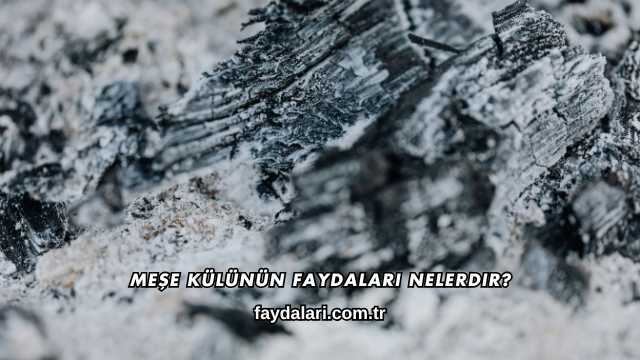 Meşe Külünün Faydaları Nelerdir?
