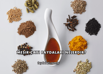 Mesir Çayı Faydaları Nelerdir?