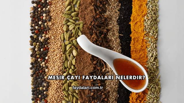 Mesir Çayı Faydaları Nelerdir?