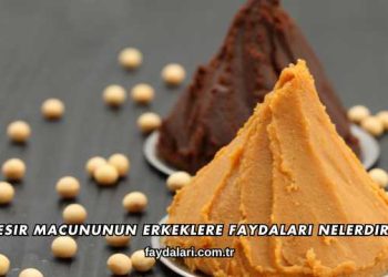 Mesir Macununun Erkeklere Faydaları Nelerdir?