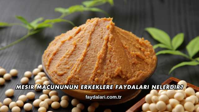 Mesir Macununun Erkeklere Faydaları Nelerdir?