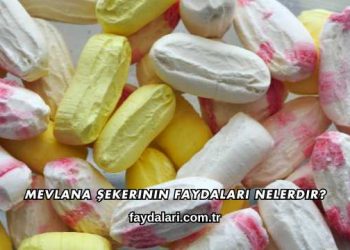 Mevlana Şekerinin Faydaları Nelerdir?