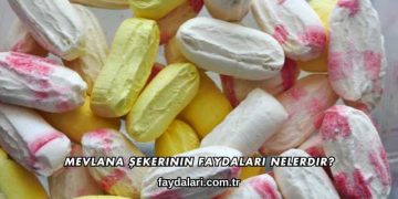 Mevlana Şekerinin Faydaları Nelerdir?