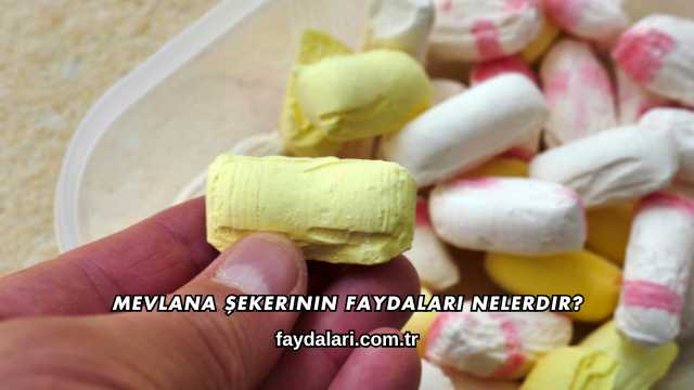 Mevlana Şekerinin Faydaları Nelerdir?