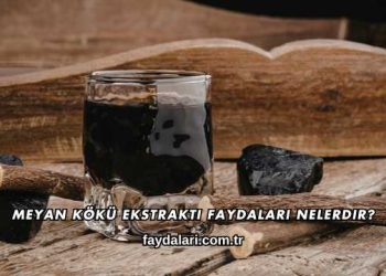 Meyan Kökü Ekstraktı Faydaları Nelerdir?