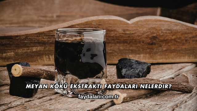 Meyan Kökü Ekstraktı Faydaları Nelerdir?