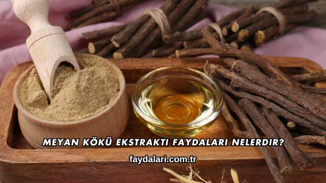 Meyan Kökü Ekstraktı Faydaları Nelerdir?