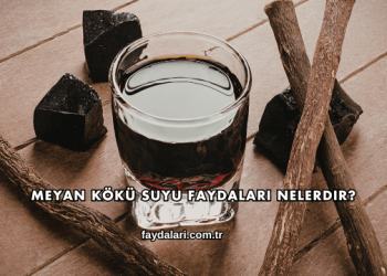 Meyan Kökü Suyu Faydaları Nelerdir?