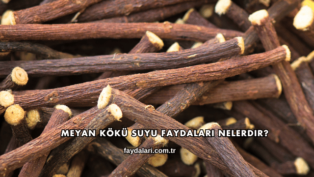 Meyan Kökü Suyu Faydaları Nelerdir?