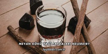 Meyan Kökü Yağı Faydaları Nelerdir?