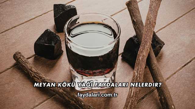 Meyan Kökü Yağı Faydaları Nelerdir?