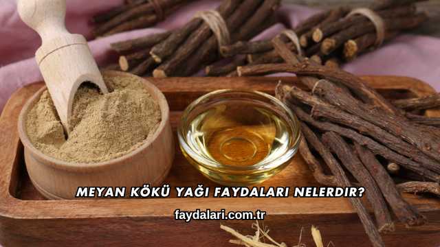 Meyan Kökü Yağı Faydaları Nelerdir?
